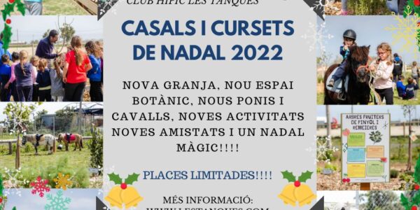 CASALS I CURSETS DE NADAL!