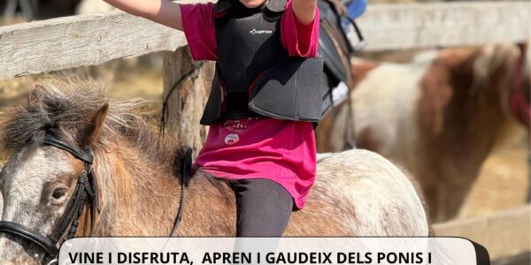Cursets d’equitació Estiu 2025
