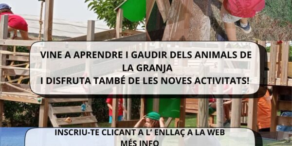 Casal d’estiu 2025
